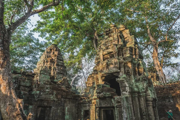 Kambodja Angkor Wat Ta Prohm Temple Tomb Raider Tree Rötter Ruiner — Stockfoto
