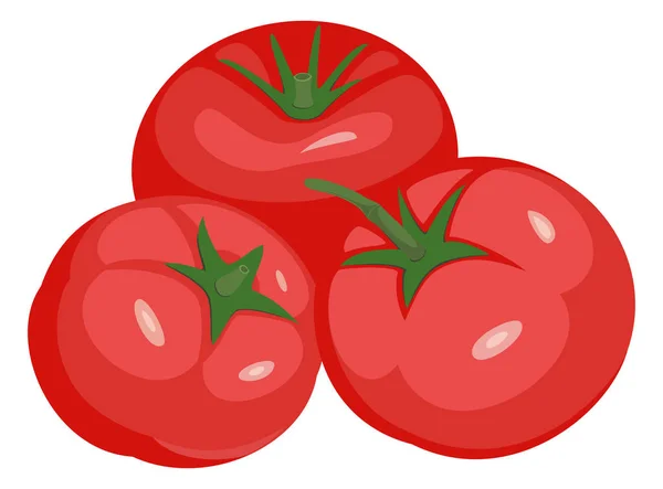 Tomates ilustración vectorial aislado — Archivo Imágenes Vectoriales