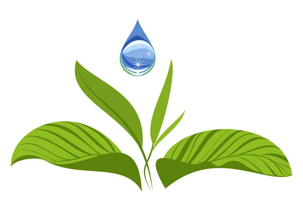 Vattendroppe med gröna blad. — Stock vektor