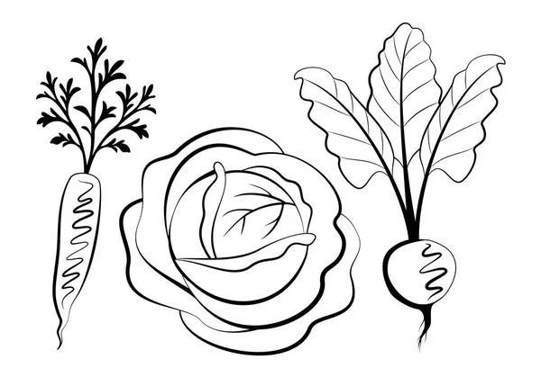 Sada ručně kreslené ilustrace zeleniny. — Stockový vektor