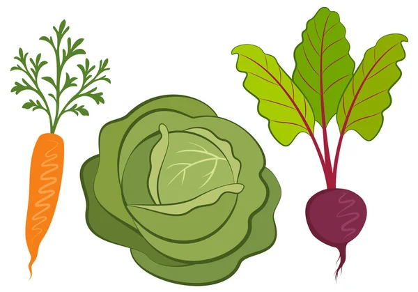 Sada zeleniny ručně kreslené ilustrace barvy. — Stockový vektor