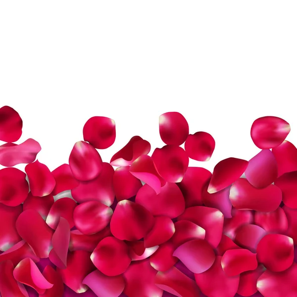 Pétales de rose sur fond blanc, illustration vectorielle — Image vectorielle