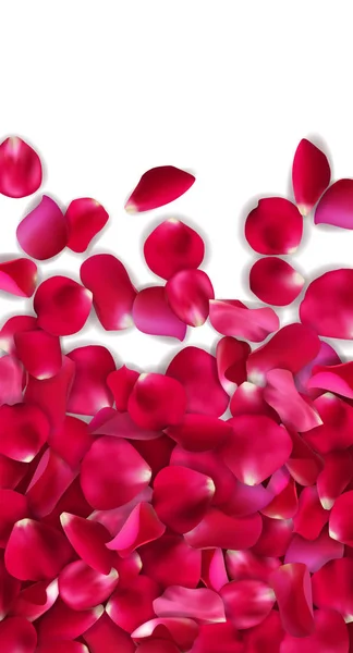 瓦伦丁节贺卡粉红色、 红色玫瑰桨在白色的背景下，矢量图 — 图库矢量图片