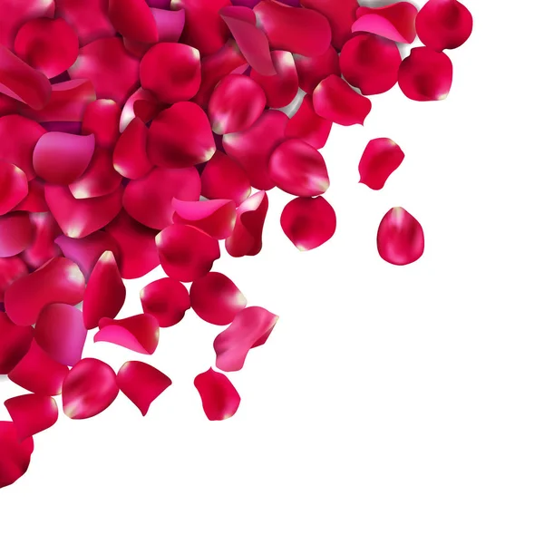 背景的红色、 粉色的玫瑰花瓣。矢量图中，白色背景上孤立. — 图库矢量图片