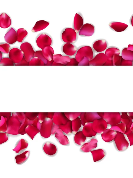 Vlag van rode, roze roze bloemblaadjes op een witte achtergrond, vectorillustratie — Stockvector