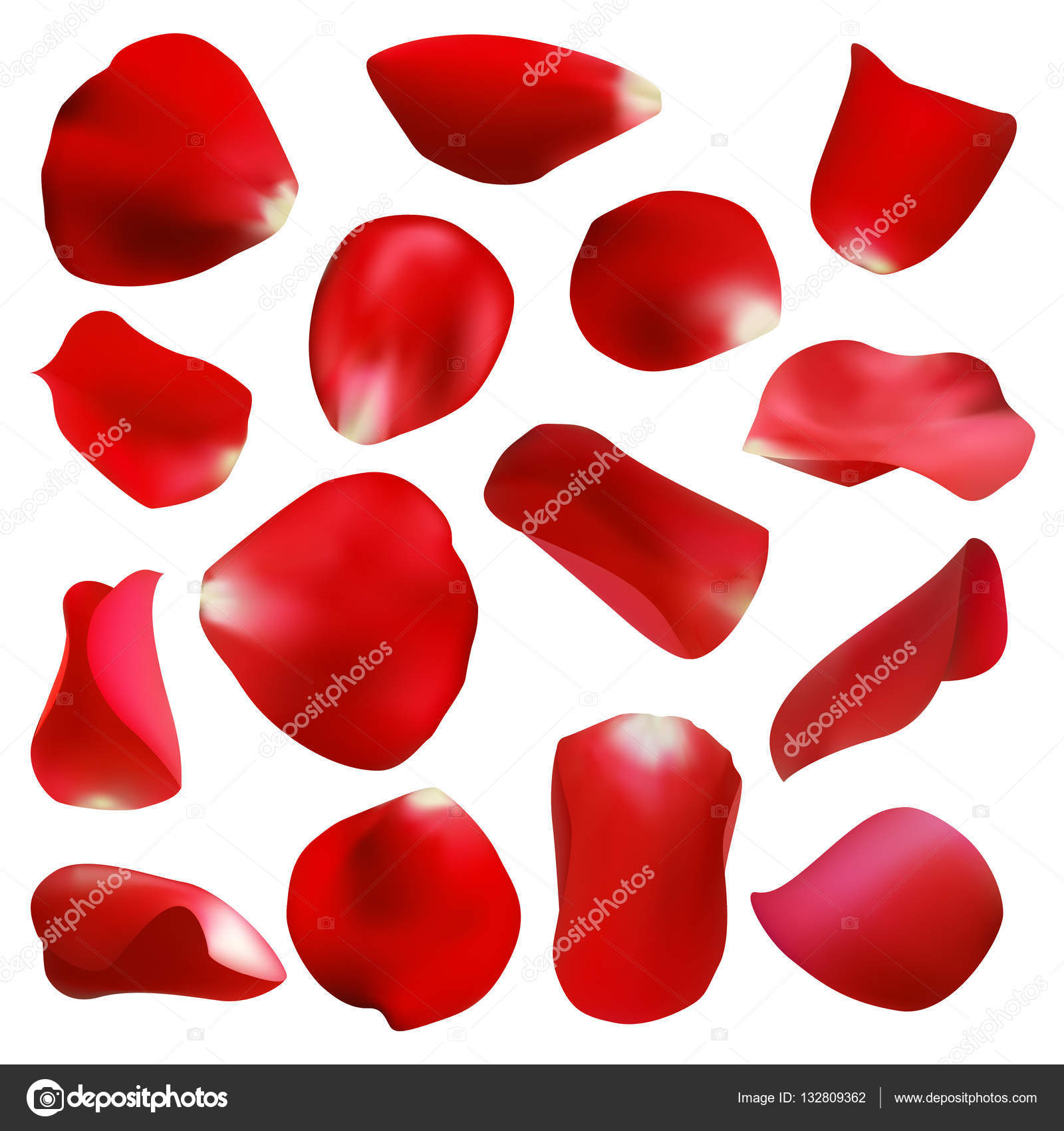 Red rose petals set, isolated on white, vector illustration Stock