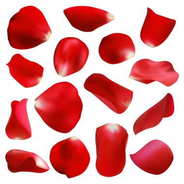 Red rose petals set, isolated on white, vector illustration clipart