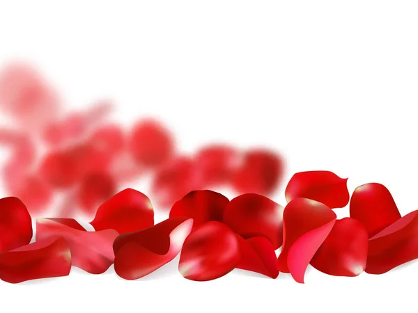 Pétalos de una rosa roja, aislados sobre fondo blanco, ilustración vectorial — Vector de stock
