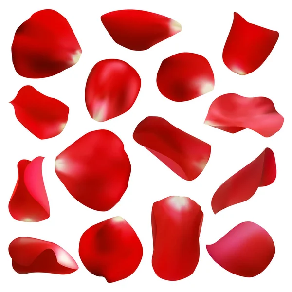 Red rose petals set, isolated on white, vector illustration — Stock Vector