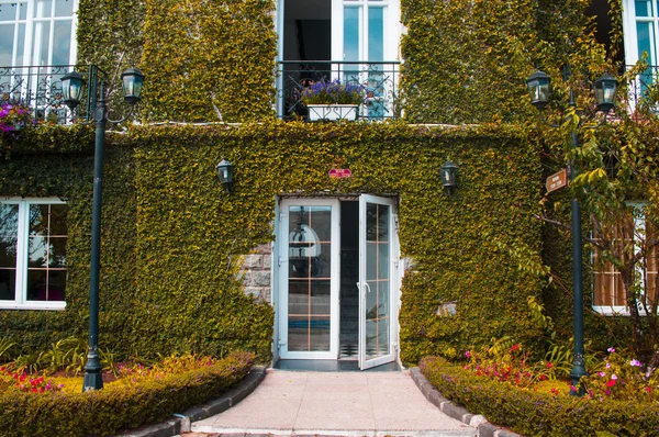 Otel girişinin yeşil yaprakları ile duvar kaplama — Stok fotoğraf