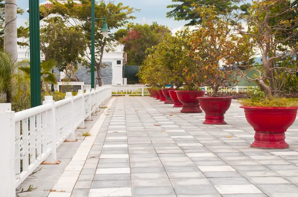 Jardim verde com canteiros — Fotografia de Stock