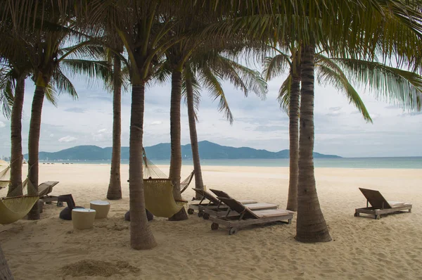 Лежаки и пальмы на пляже My Khe, Дананг, Вьетнам — стоковое фото