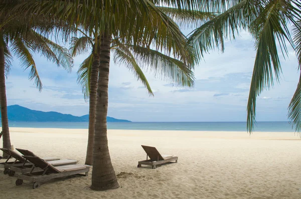 Лежаки и пальмы на пляже My Khe, Дананг, Вьетнам Стоковое Изображение