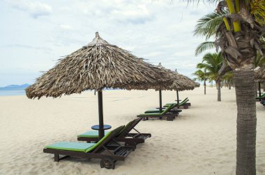 Beach saman şemsiye