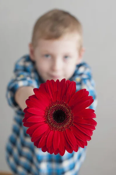 Liten pojke med röd blomma — Stockfoto