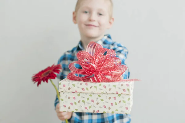 Menino com flor vermelha e caixa de presente Imagem De Stock