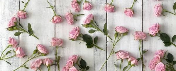 Rosa rosor på trä bakgrund — Stockfoto
