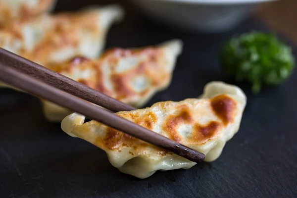 Gyoza nebo Jiaozi — Stock fotografie