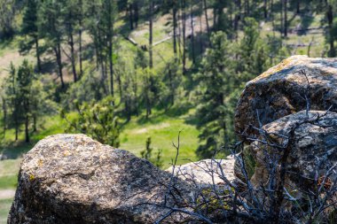 Şeytani Kule Ulusal Anıtı, Wyoming manzarası