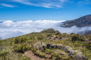 Maui, Hawaii 'de doğaya bakış açısı