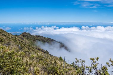 Maui, Hawaii 'de doğaya bakış açısı