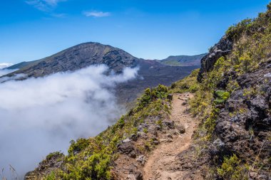 Maui, Hawaii 'de doğaya bakış açısı