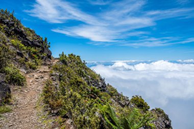Maui, Hawaii 'de doğaya bakış açısı