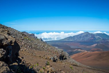Maui, Hawaii 'de doğaya bakış açısı