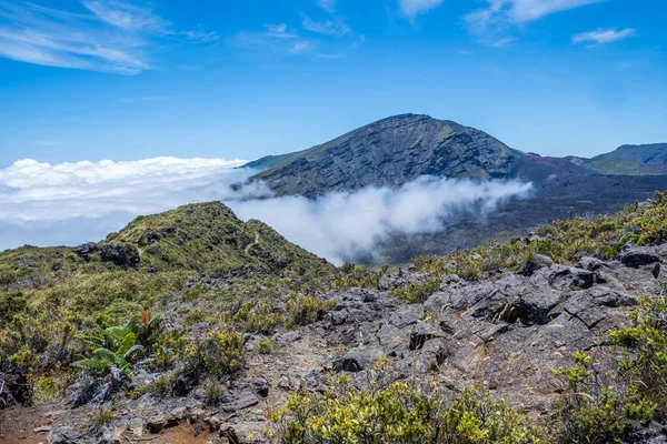 Blick auf die Natur in maui, hawaii — Stockfoto