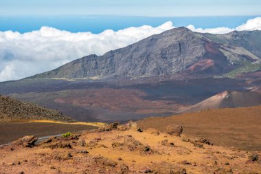 Maui, Hawaii 'de doğaya bakış açısı