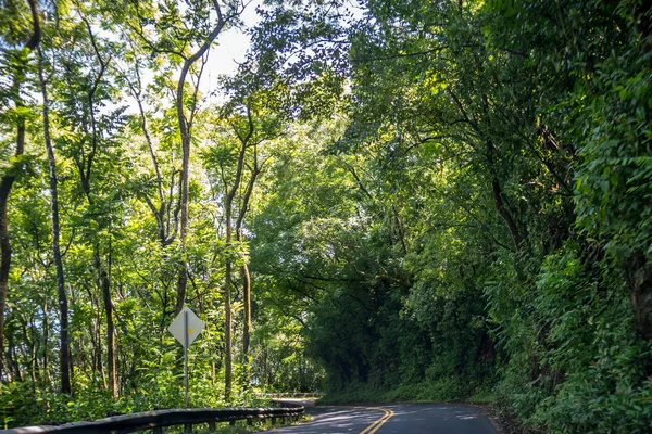 Un largo camino por el camino de en Maui, Hawai — Foto de Stock