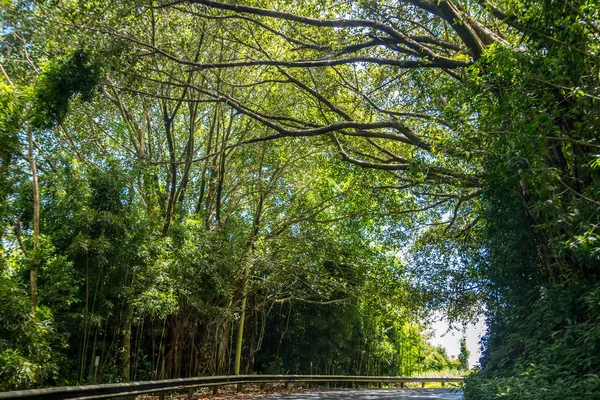 Ein langer weg auf der straße von in maui, hawaii — Stockfoto