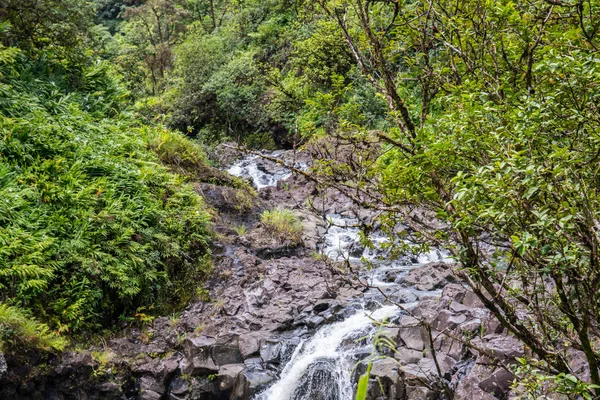 Egy keskeny vízfolyás Mauiban, Hawaiin. — Stock Fotó