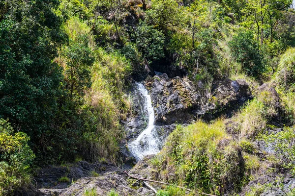 Een smalle waterstroom in Maui, Hawaï — Stockfoto