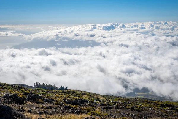 Blick auf die Natur in maui, hawaii — Stockfoto