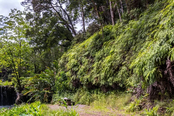 Uitzicht op het landschap van Maui, Hawaï — Stockfoto