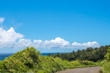 Maui, Hawaii 'de doğaya bakış açısı