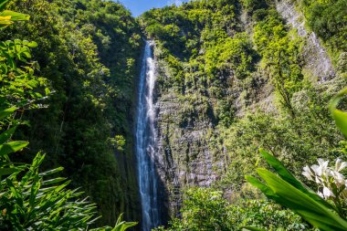 Maui, Hawaii 'deki ünlü Waimoku Şelalesi
