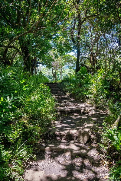 Gyönyörű kilátás nyílik az erdőre Maui, Hawaii — Stock Fotó