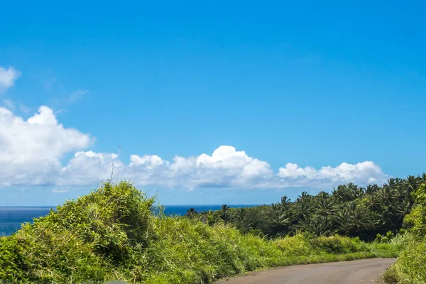 Вид на природу на Мауи, Гавайи — стоковое фото
