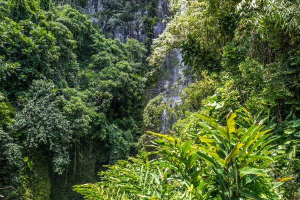 Uitzicht op de natuur in Maui, Hawaï — Stockfoto