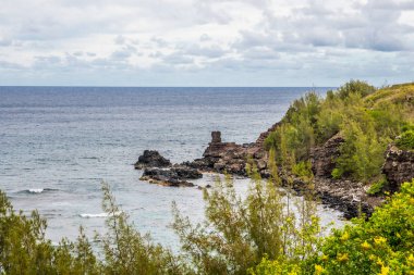 Maui, Hawaii 'deki doğal manzaranın muhteşem bir görüntüsü.