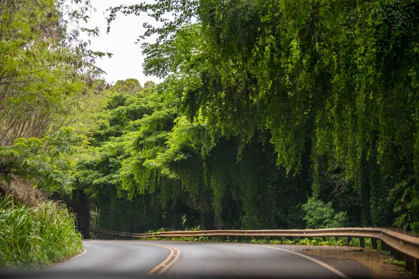 Een lange weg langs de weg van Maui, Hawaï — Stockfoto