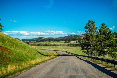 Güney Dakota, Custer Eyalet Parkı 'nın aşağısında.