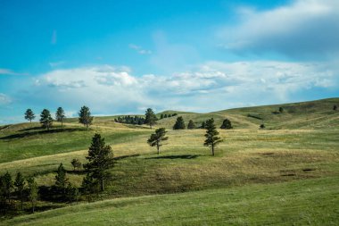 Custer State Park, Güney Dakota'da güzel bir doğa manzarası