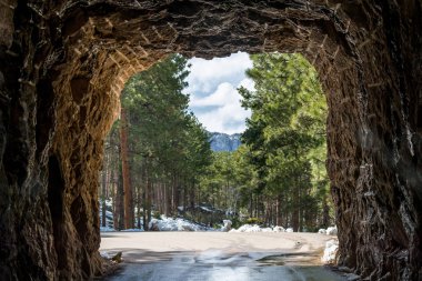 Black Hills Ulusal Ormanı 'ndaki Cc Gideon Tüneli, Güney Dakota