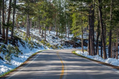 Güney Dakota 'daki Black Hills Ulusal Ormanı' nın aşağısında.