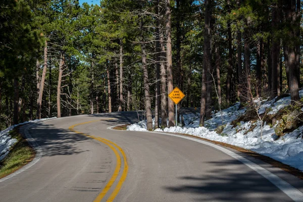 Un long chemin le long de la route de Black Hills National Forest, Dakota du Sud — Photo