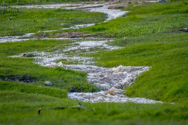 南达科他州布莱克山国家森林狭窄的水流 — 图库照片