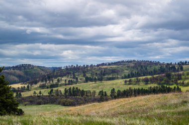 An overlooking landscape view of Custer State Park, South Dakota